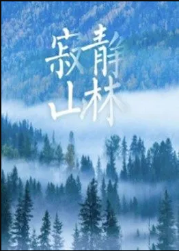 寂静山林封面图
