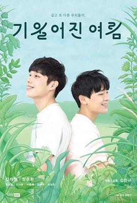 两周年的夏日之旅封面图