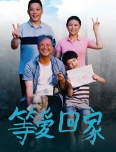 等爱回家2025封面图